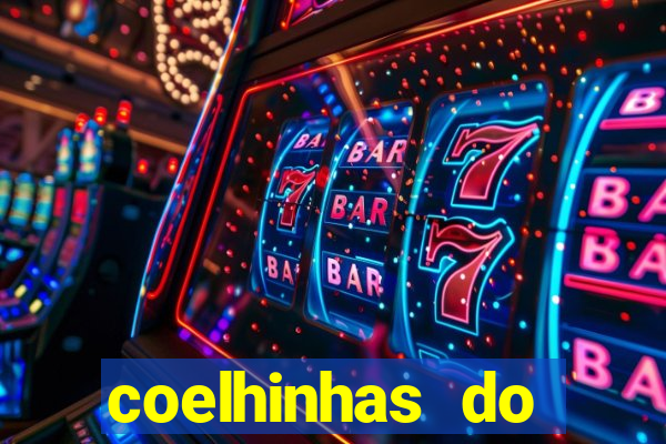 coelhinhas do brasil recife