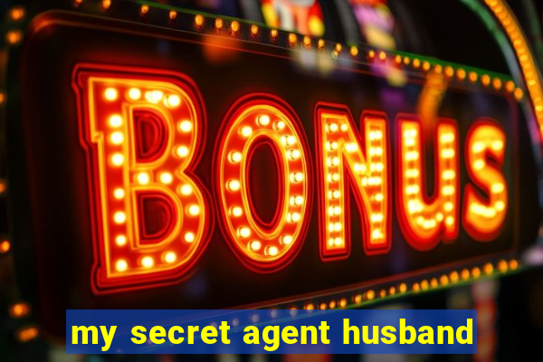 my secret agent husband
