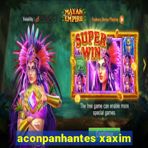 aconpanhantes xaxim