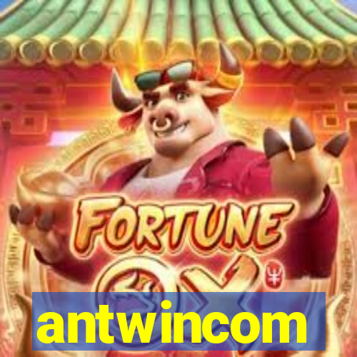 antwincom