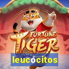 leucócitos segmentados altos