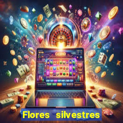 Flores silvestres brasileiras 25