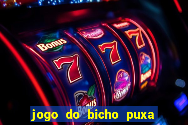 jogo do bicho puxa de dona maria